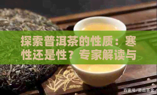 探索普洱茶的性质：寒性还是性？专家解读与医生建议