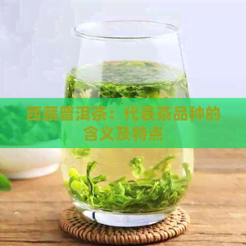      普洱茶：代表茶品种的含义及特点