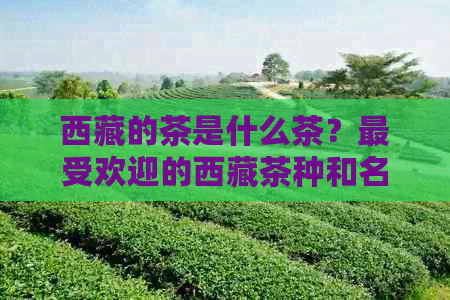      的茶是什么茶？更受欢迎的     茶种和名称是什么？