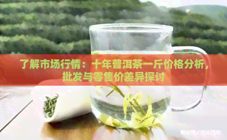 了解市场行情：十年普洱茶一斤价格分析，批发与零售价差异探讨