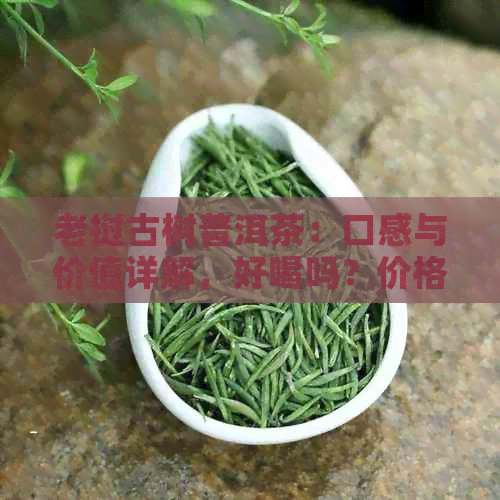 老挝古树普洱茶：口感与价值详解，好喝吗？价格是多少？