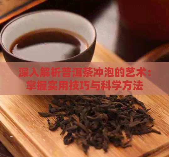 深入解析普洱茶冲泡的艺术：掌握实用技巧与科学方法