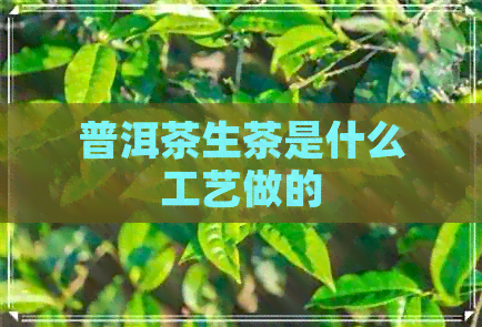 普洱茶生茶是什么工艺做的