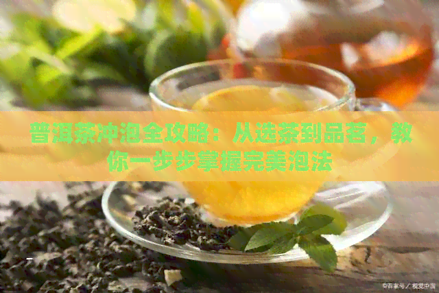 普洱茶冲泡全攻略：从选茶到品茗，教你一步步掌握完美泡法