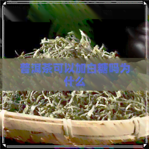 普洱茶可以加白糖吗为什么