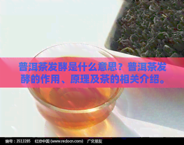 普洱茶发酵是什么意思？普洱茶发酵的作用、原理及茶的相关介绍。