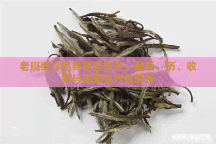 老班章珍品典藏普洱茶：品质、历、收藏与品鉴全方位解析