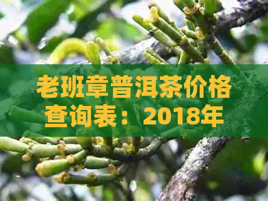 老班章普洱茶价格查询表：2018年老班章普洱茶357克和一饼的价格是多少？