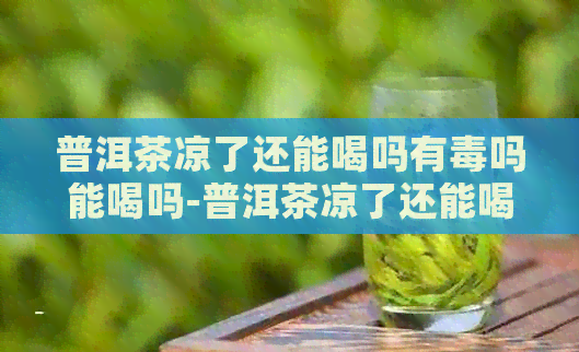 普洱茶凉了还能喝吗有吗能喝吗-普洱茶凉了还能喝吗有吗能喝吗女生