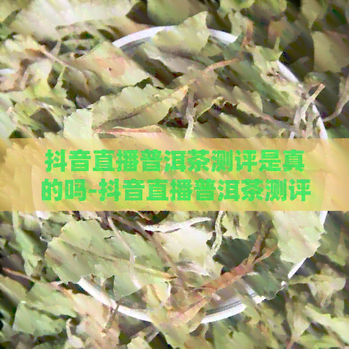 抖音直播普洱茶测评是真的吗-抖音直播普洱茶测评是真的吗吗