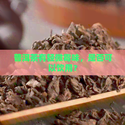 普洱茶有轻微霉味，是否可以饮用？