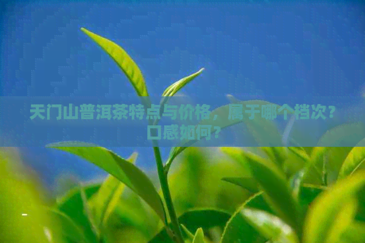 天门山普洱茶特点与价格，属于哪个档次？口感如何？