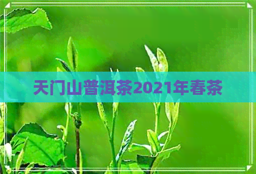 天门山普洱茶2021年春茶