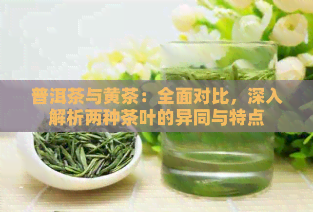 普洱茶与黄茶：全面对比，深入解析两种茶叶的异同与特点