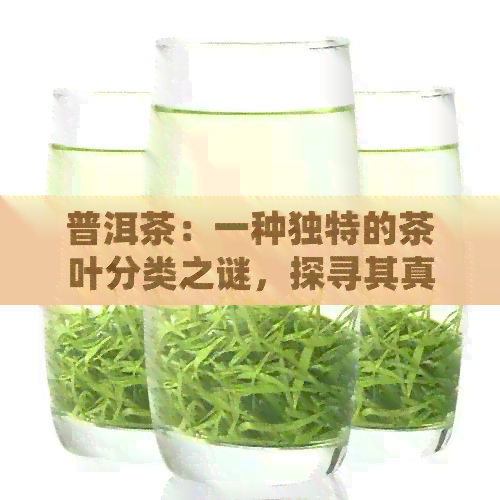 普洱茶：一种独特的茶叶分类之谜，探寻其真实的茶类归属