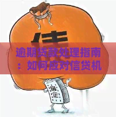 逾期贷款处理指南：如何应对信贷机构的与处罚