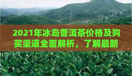 2021年冰岛普洱茶价格及购买渠道全面解析，了解最新市场行情和如何品尝