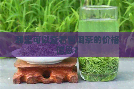 哪里可以查看普洱茶的价格信息？