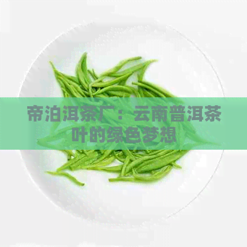 帝泊洱茶厂：云南普洱茶叶的绿色梦想