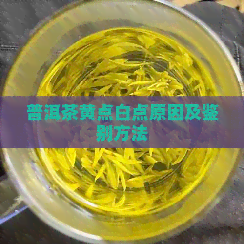 普洱茶黄点白点原因及鉴别方法