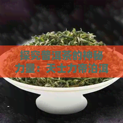 探究普洱茶的神秘力量：天士力帝泊洱茶的减肥效果究竟如何？