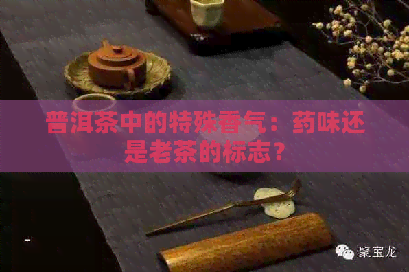 普洱茶中的特殊香气：药味还是老茶的标志？