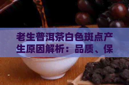 老生普洱茶白色斑点产生原因解析：品质、保存还是制作过程中的问题？