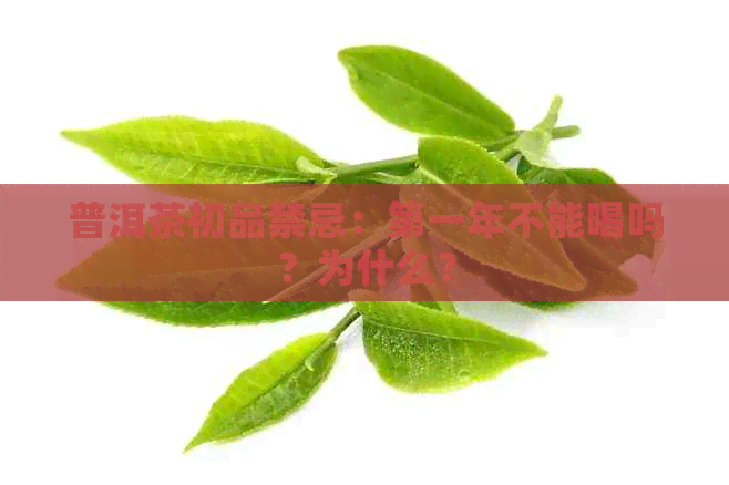 普洱茶初品禁忌：之一年不能喝吗？为什么？