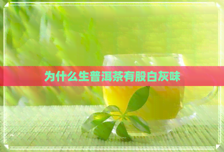 为什么生普洱茶有股白灰味