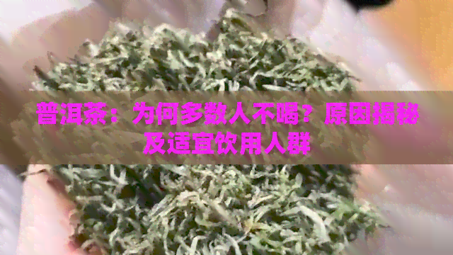 普洱茶：为何多数人不喝？原因揭秘及适宜饮用人群