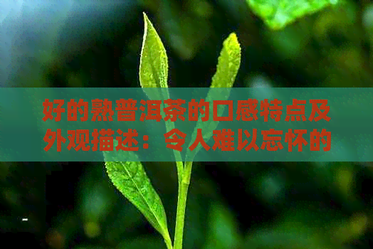 好的熟普洱茶的口感特点及外观描述：令人难以忘怀的醇厚之感