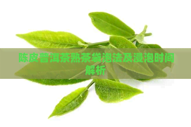 陈皮普洱茶熟茶袋泡法及浸泡时间解析