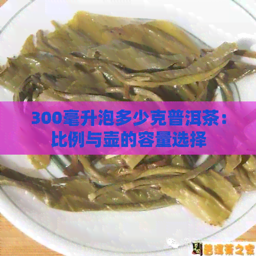 300毫升泡多少克普洱茶：比例与壶的容量选择