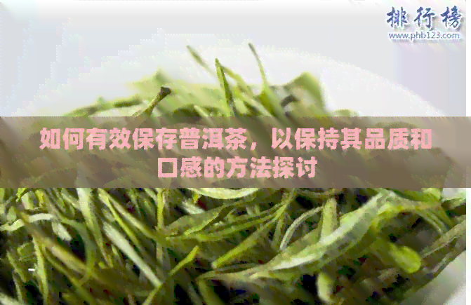 如何有效保存普洱茶，以保持其品质和口感的方法探讨