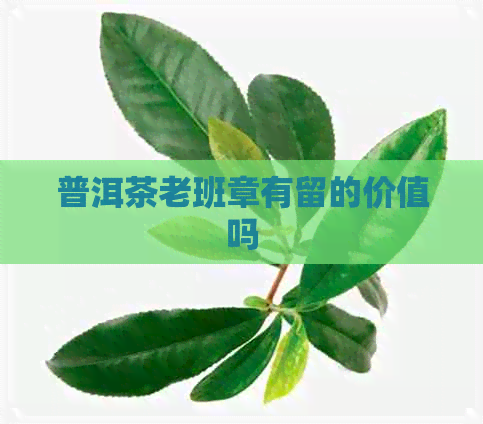 普洱茶老班章有留的价值吗