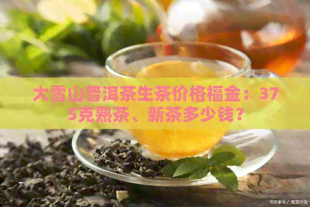 大雪山普洱茶生茶价格福金：375克熟茶、新茶多少钱？