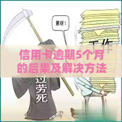 信用卡逾期5个月的后果及解决方法：是否会影响信用评分和贷款申请？