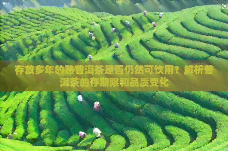 存放多年的熟普洱茶是否仍然可饮用？解析普洱茶的存期限和品质变化