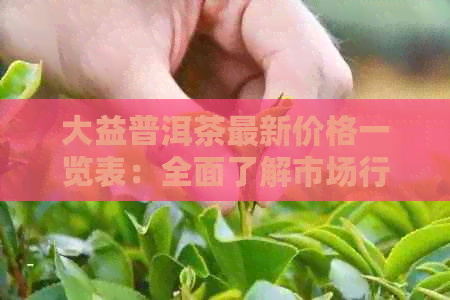 大益普洱茶最新价格一览表：全面了解市场行情，轻松选购优质茶叶