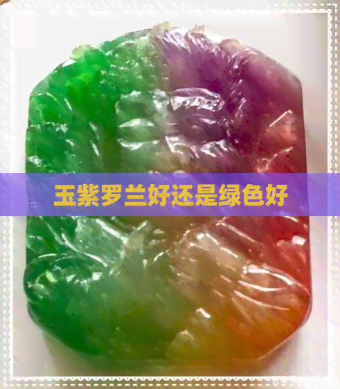 玉紫罗兰好还是绿色好