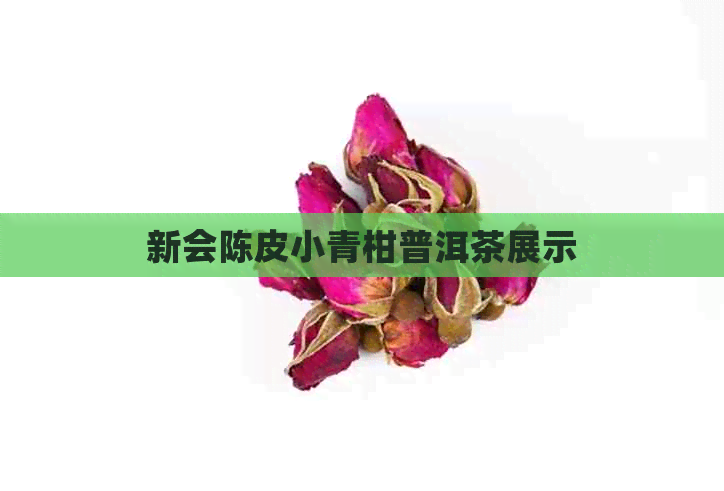 新会陈皮小青柑普洱茶展示