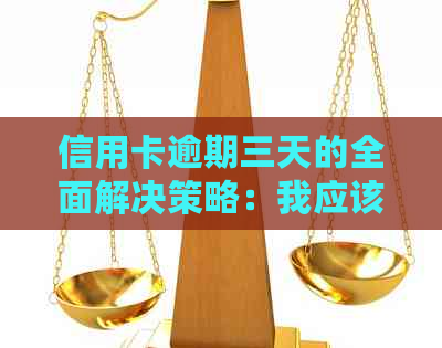 信用卡逾期三天的全面解决策略：我应该怎么做？