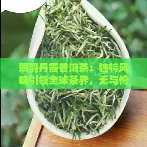 翠羽丹霞普洱茶：独特风味引领全球茶界，无与伦比的价值体验