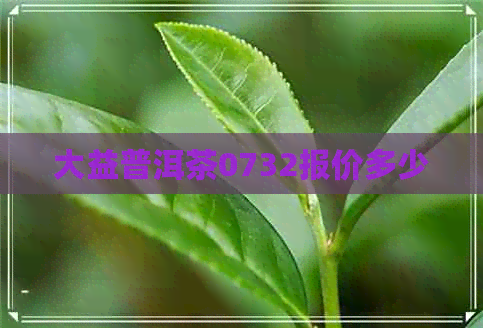 大益普洱茶0732报价多少