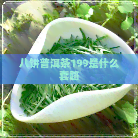 八饼普洱茶199是什么套路