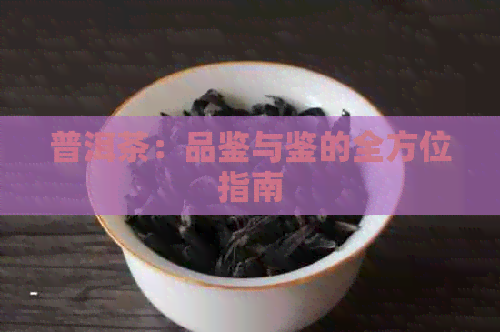 普洱茶：品鉴与鉴的全方位指南