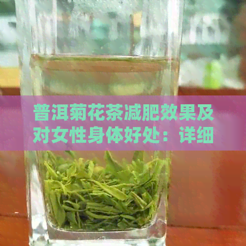 普洱菊花茶减肥效果及对女性身体好处：详细解答与科学研究