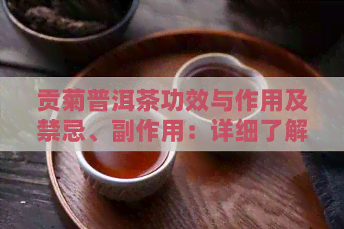 贡菊普洱茶功效与作用及禁忌、副作用：详细了解其对健的影响