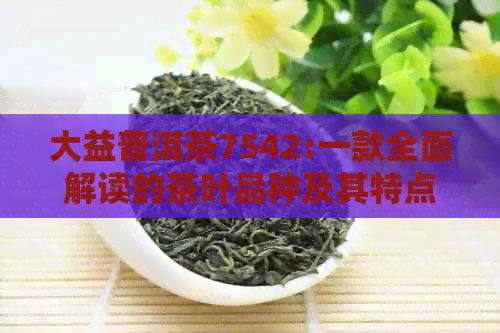 大益普洱茶7542:一款全面解读的茶叶品种及其特点