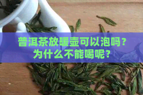 普洱茶放暖壶可以泡吗？为什么不能喝呢？